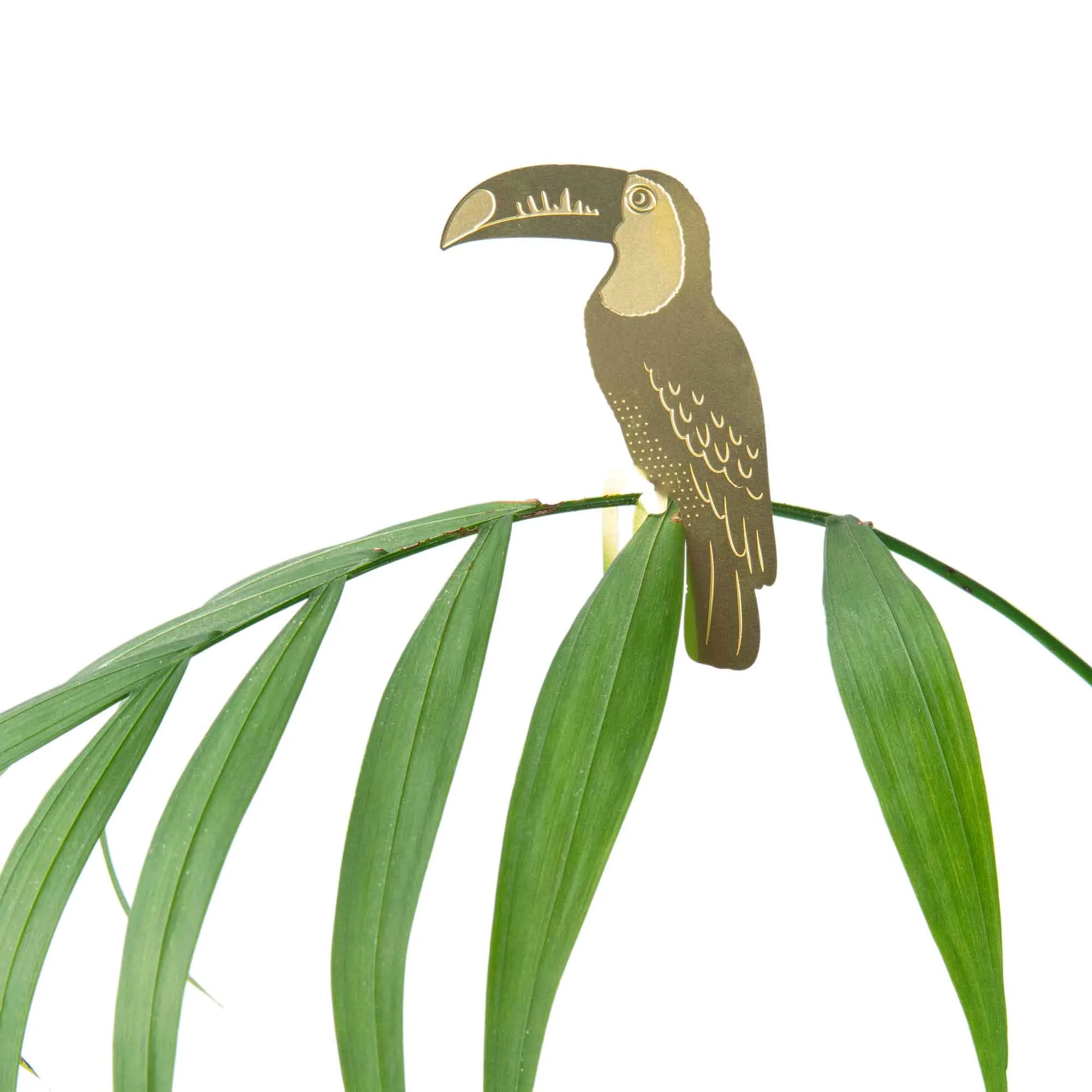 Brass Plant Accessory: Toucan