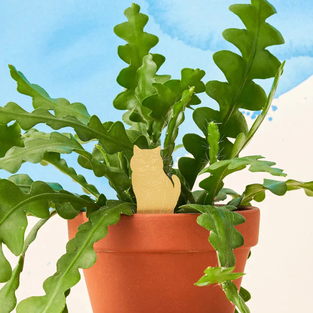 Brass Plant Pet Accessory: Cat