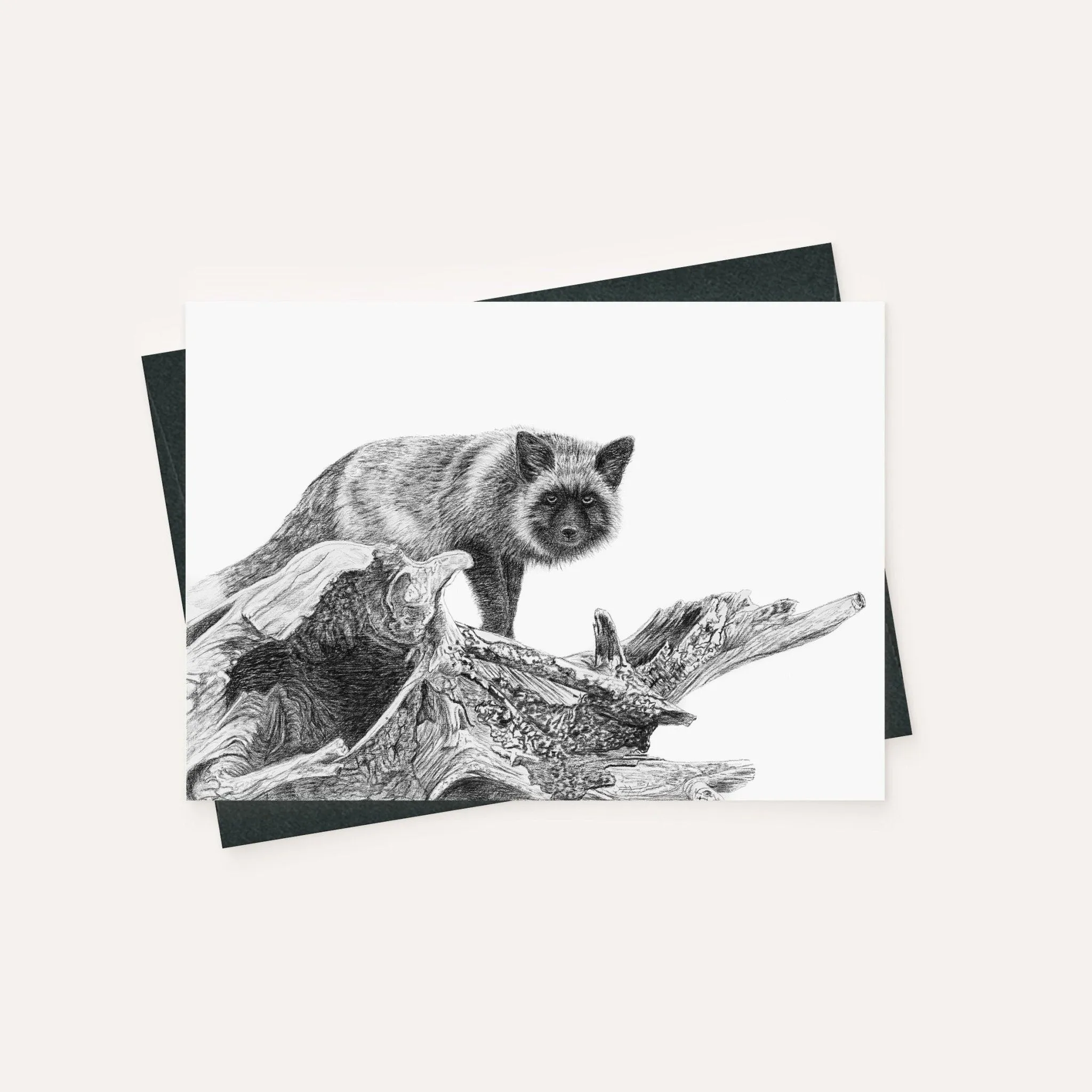 Complete NEW Boreal Charcoal 2 Collection - 6 Greeting Cards Bundle