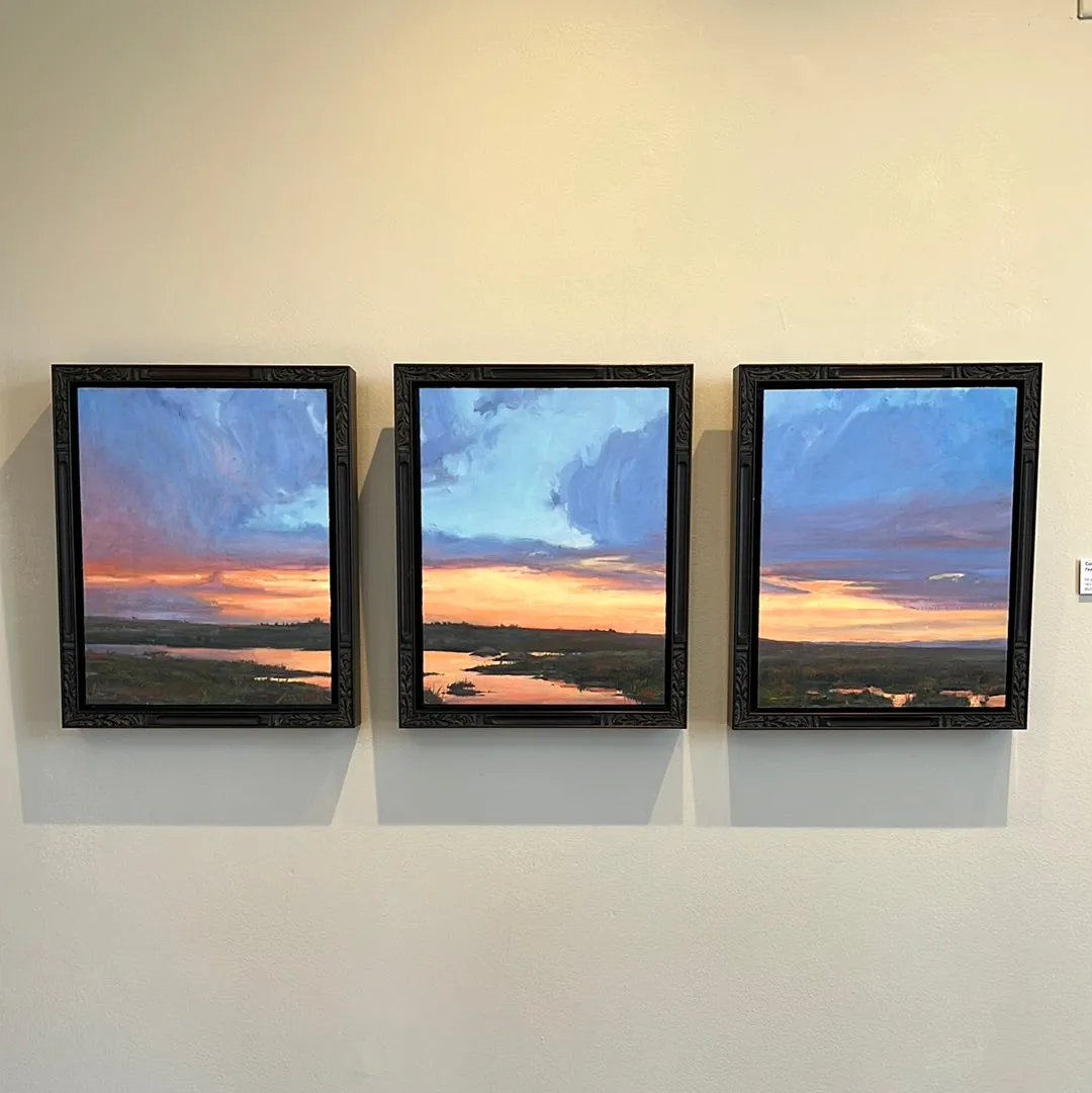 Fading Sky Tryptic  by Colter May