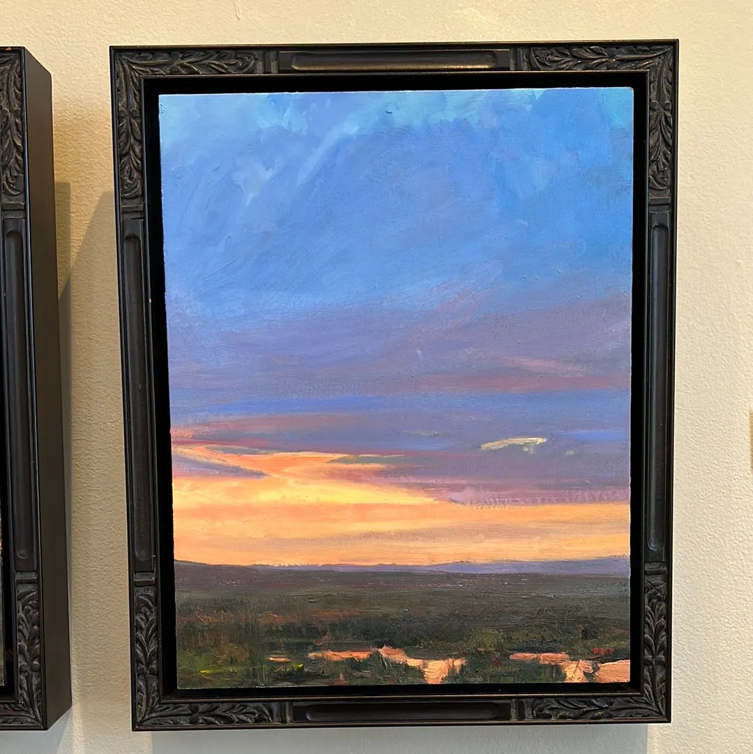 Fading Sky Tryptic  by Colter May