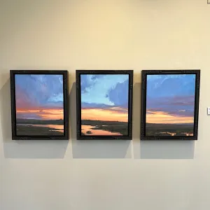 Fading Sky Tryptic  by Colter May