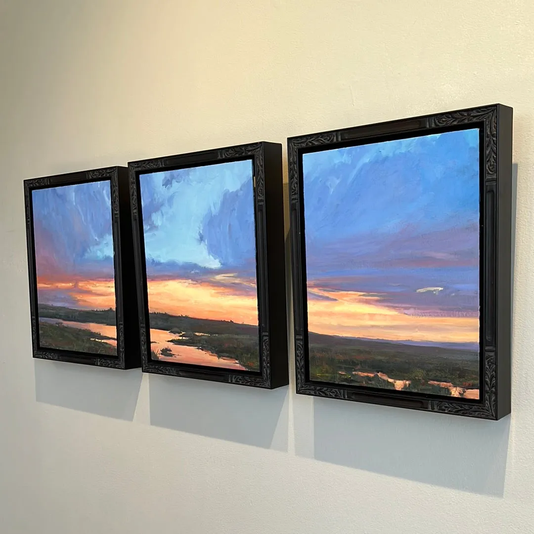 Fading Sky Tryptic  by Colter May