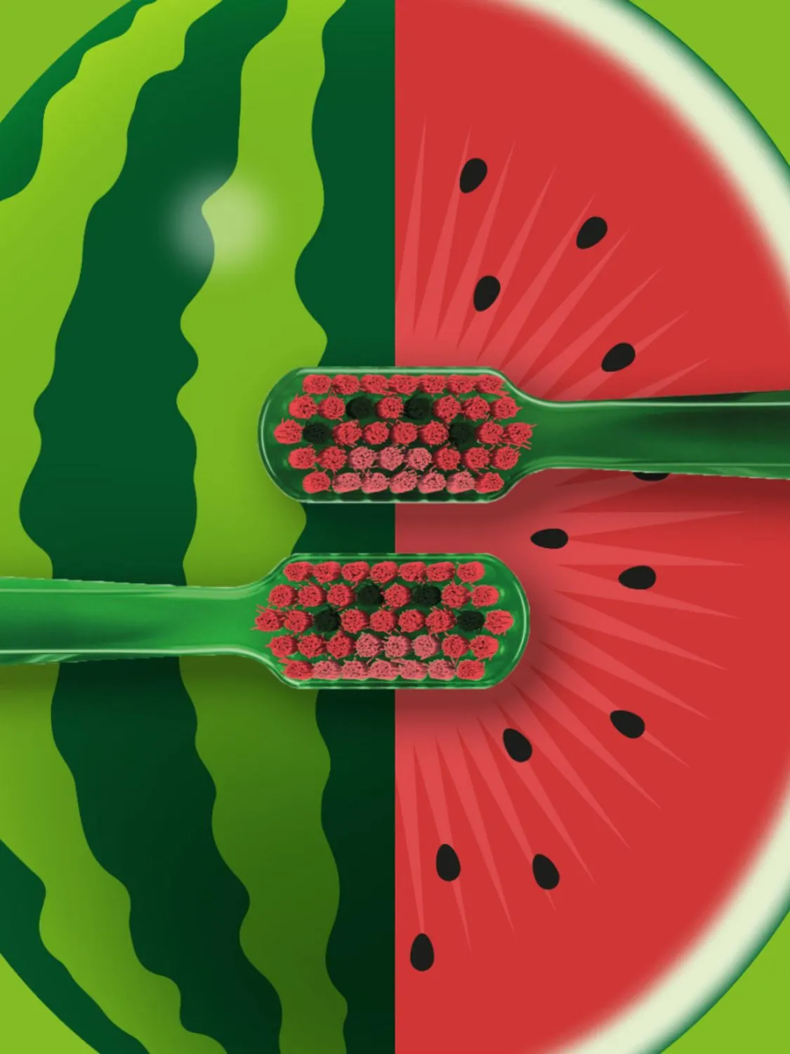 Limited Watermelon Edition DUO Toothbrush