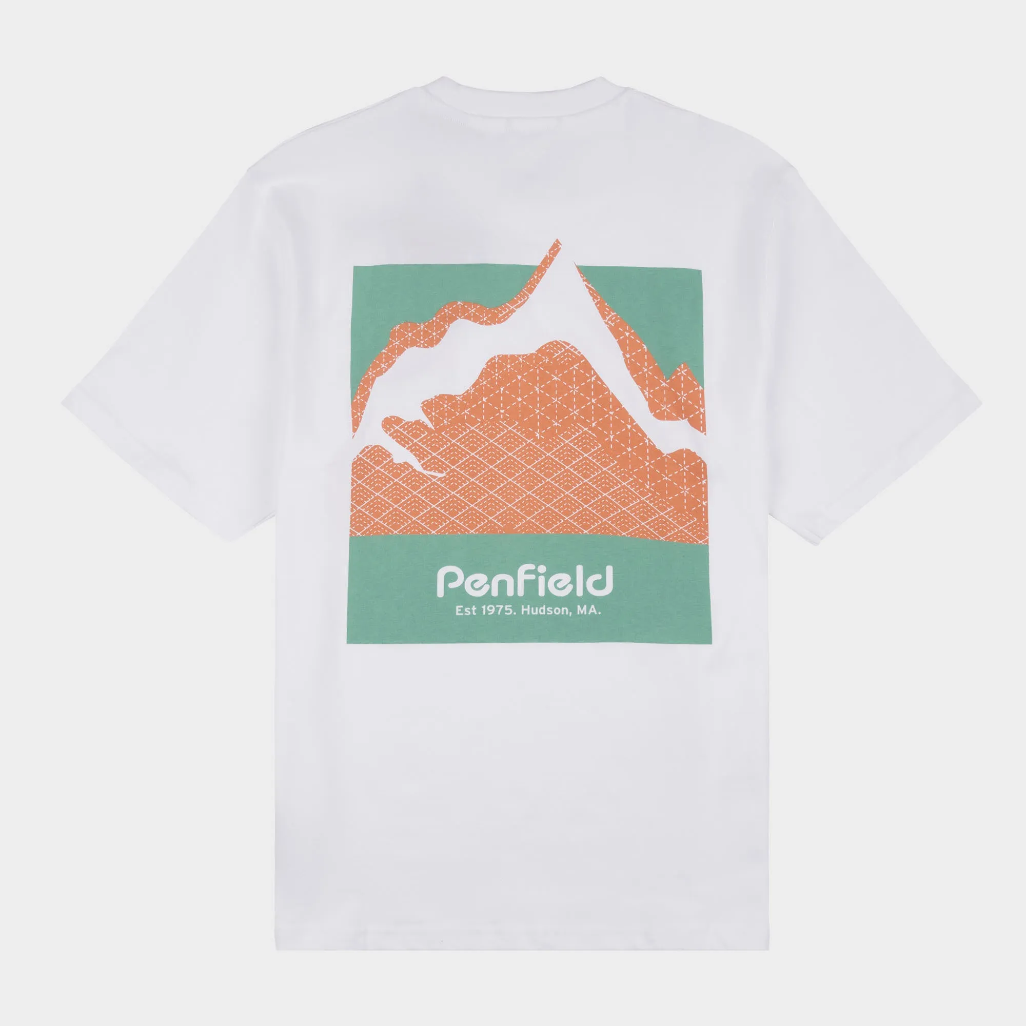 Relaxed Fit Mountain Back Print T-Shirt in Bright White